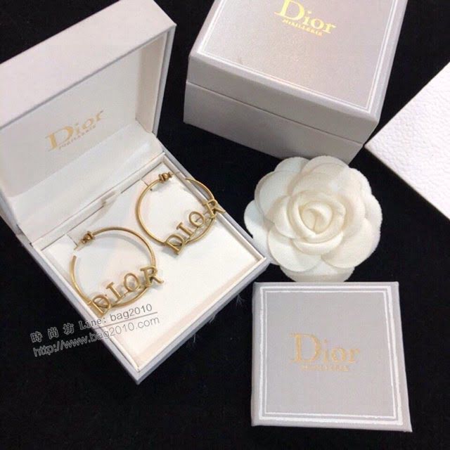 Dior飾品 迪奧經典熱銷款耳釘耳環  zgd1011